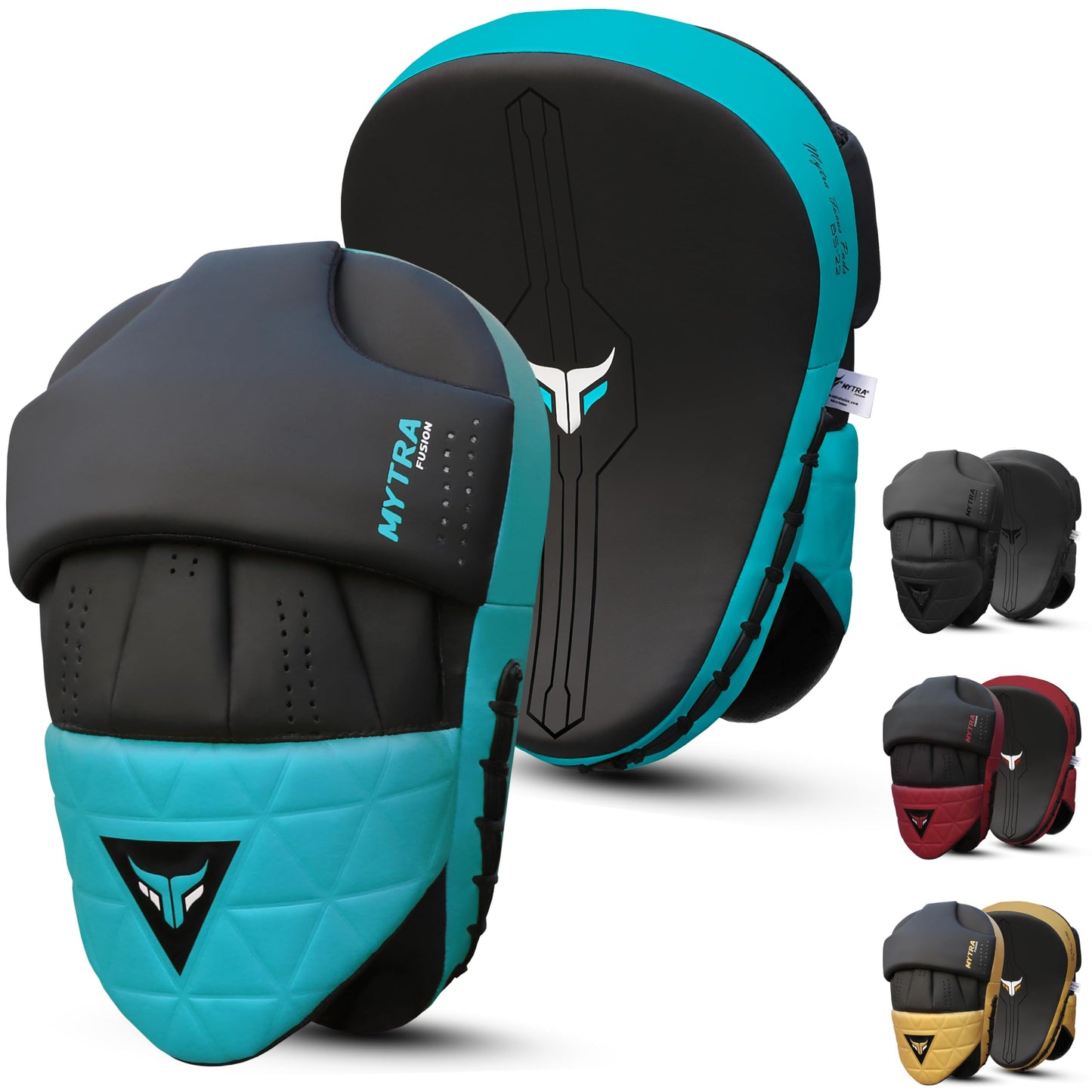 Boxing Focus Pads - Curved Martial Art focus pads