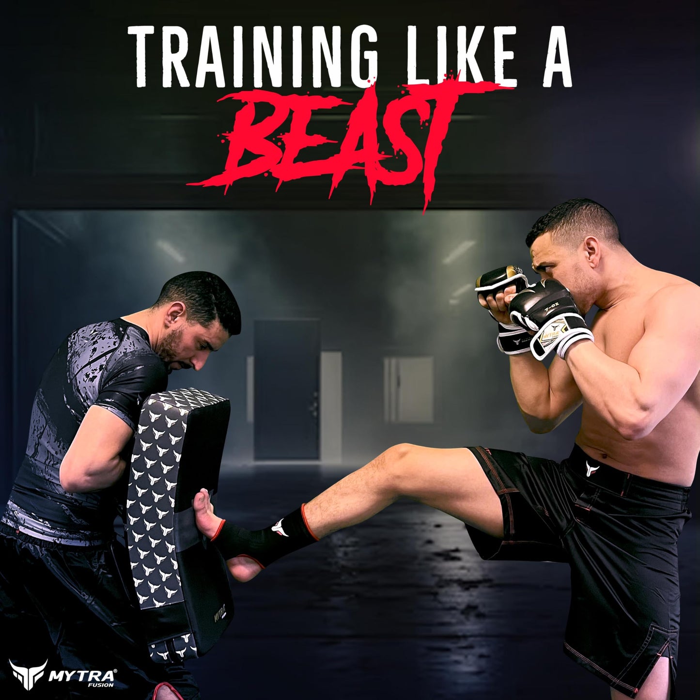Kick shield - Striking Shield For Muay Thai & Kickboxing