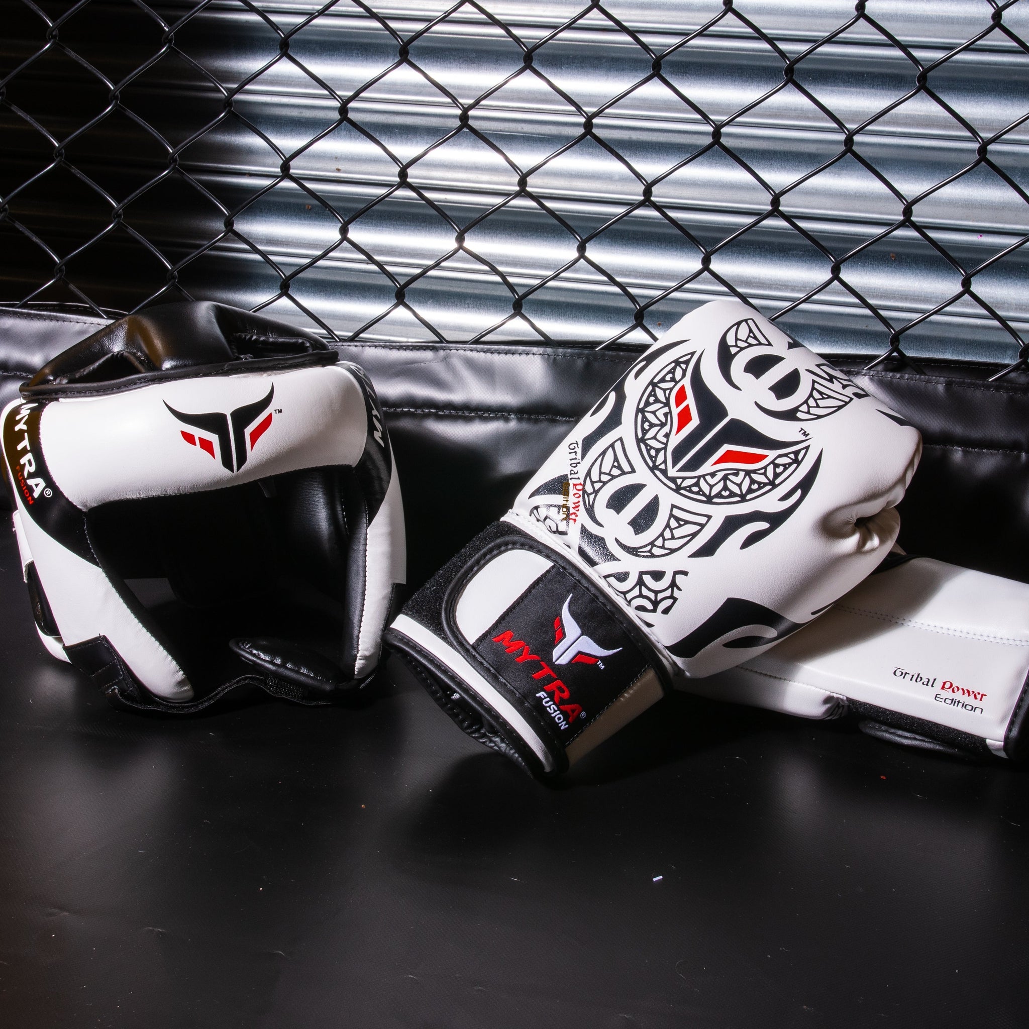 Premium Boxing Gloves in the UK: The Ultimate Investment for Every Fighter