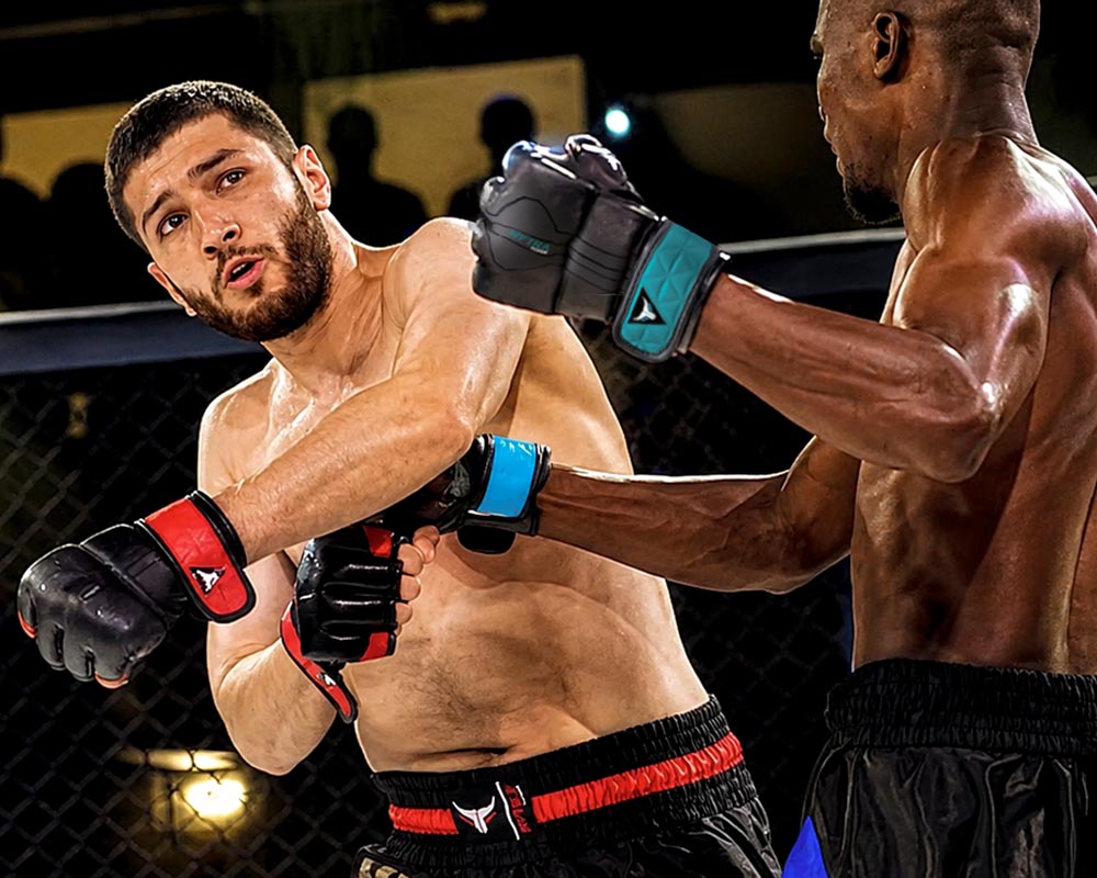 MMA Gloves
