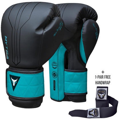 Boxing Gloves BS-22 – Sparring Gloves With Free Wraps