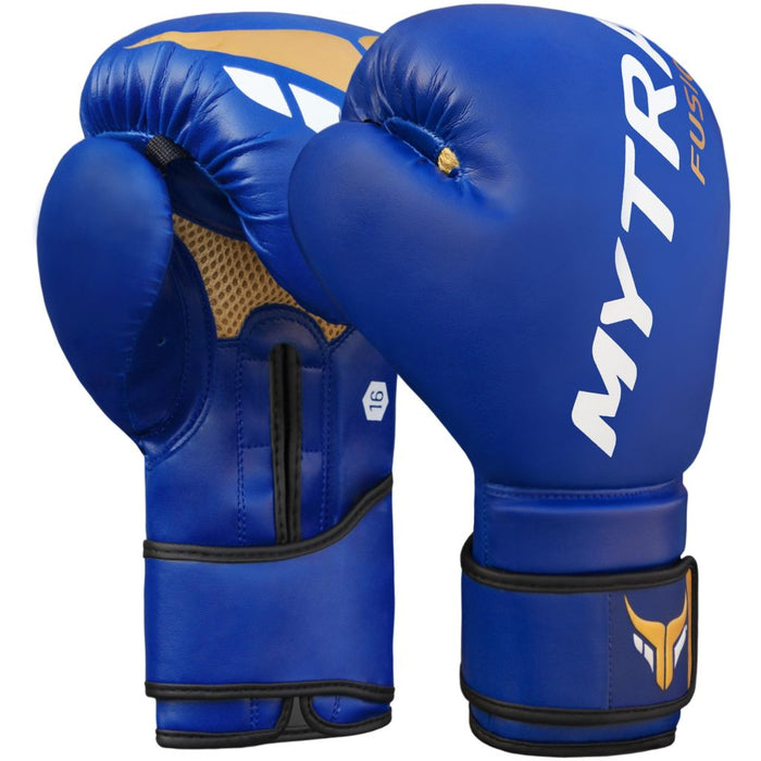 Mytra Fusion Boxing Gloves 