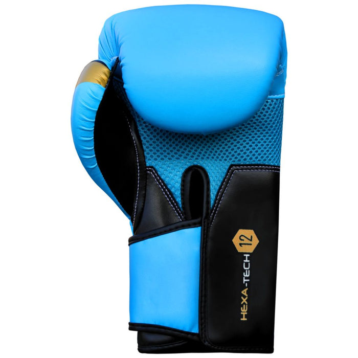 Mytra Fusion Boxing Gloves