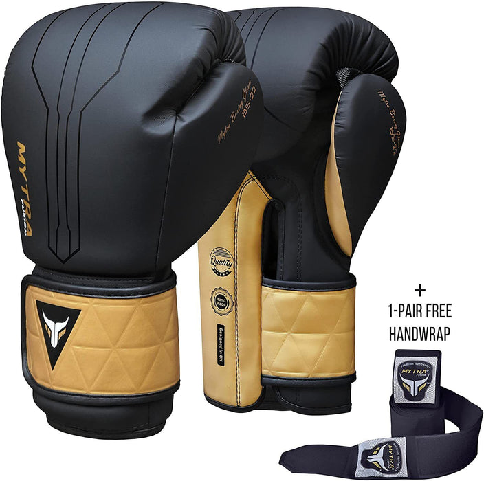 Mytra Fusion Boxing Gloves