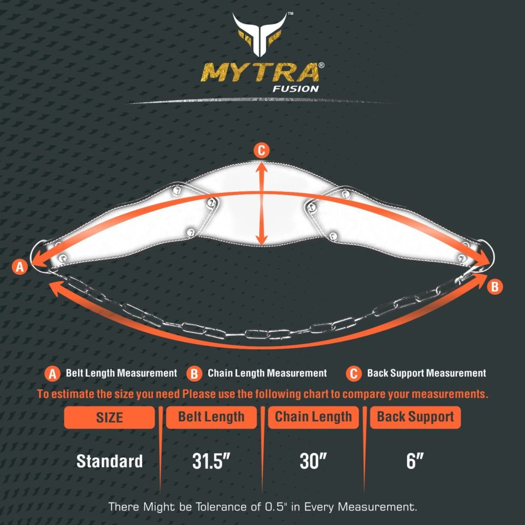 Mytra Fusion Dip Belt
